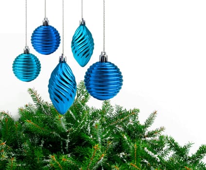 Blue Christmas decoration green spruce branches white background