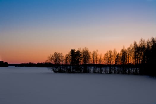 Trees on ice with a sunset