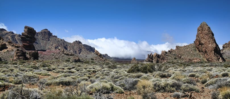 El Teide national park desert in early spring, panoramic