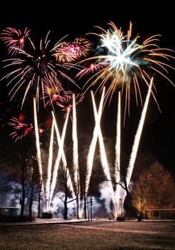 Big fireworks display against park trees silhouette