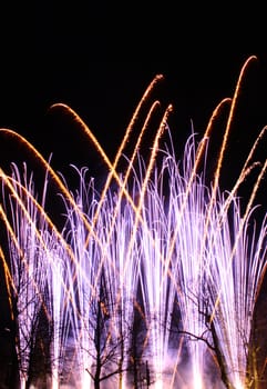 Colorful fireworks display against park trees silhouette and black sky