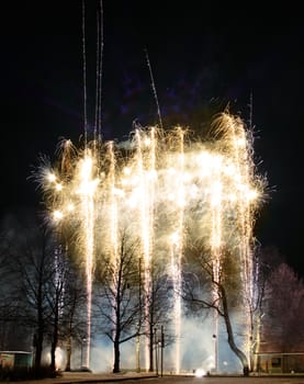 Fireworks display against park trees silhouette