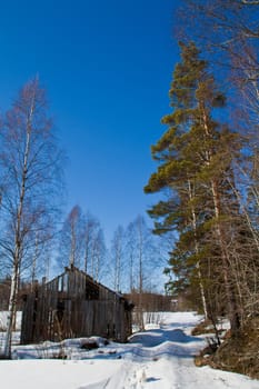 Old barn near a forest at winter