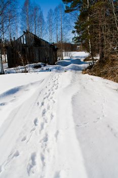 Old barn near a forest at winter