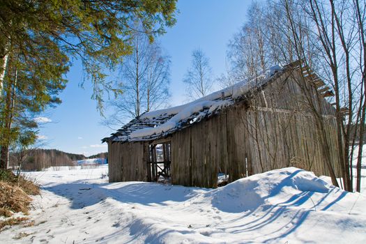 Old barn near a forest at winter
