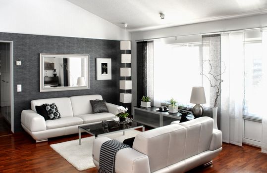 Modern living room interior furniture and decoration