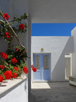 Mediterranean doorway white and blue, red flowers