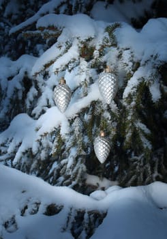 Christmas decoration silver cones hanging in snowy tree