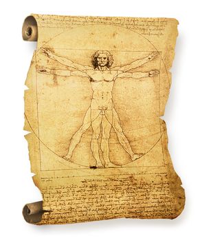 Leonardo's Vitruvian Man on an old parchment document roll