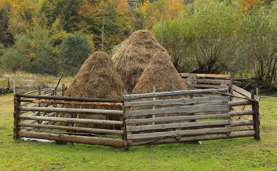 Three hayricks in Apuseni Mountains,Transylvania,Romania.