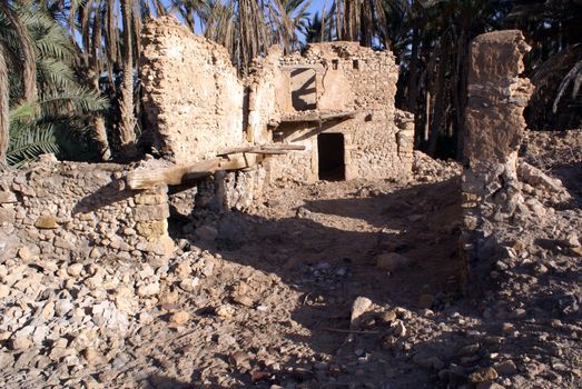 Palm trees and ruins in old medina Kebili, Tunisia               