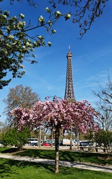 Image during the spring, of the Eiffel Tower from a beautiful park in the vicinity.
