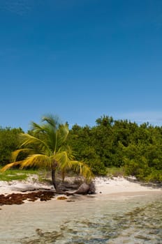 stunning deserted beach in Antigua, Caribbean (blue sky background)