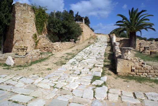 Ruins and stone road in old Crthage in Tunisia                  