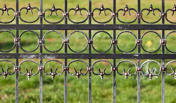 stylish steel/iron fence over green garden