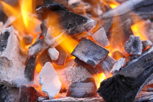 Decaying red coals of a tree in a fire 