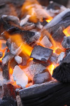 Decaying red coals of a tree in a fire 