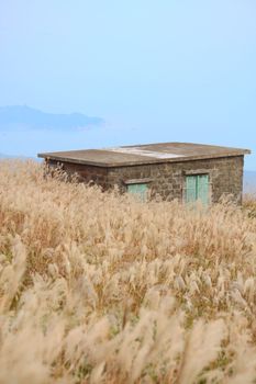 old stone house with grass on the mountain 