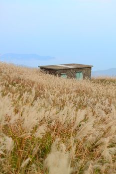 old stone house with grass on the mountain 