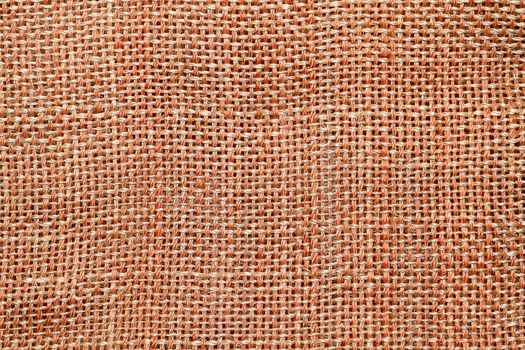 Bamboo texture 