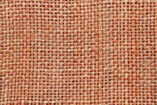 Bamboo texture 