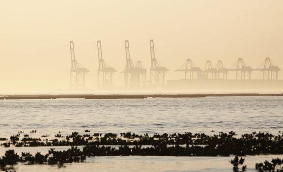 container cranes on a foggy morning