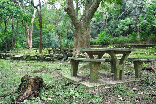 Picnic place in forest