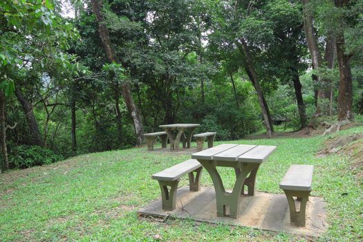 Picnic place in forest