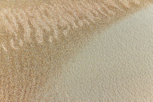 image of sand dunes in the background