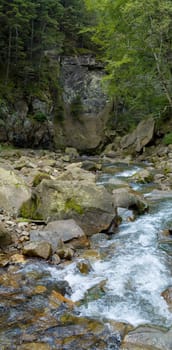 Vertical oriented panorama of mountain river