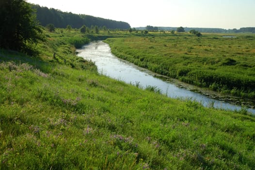 landscape with river and green field