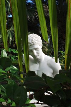 Bust of an antique man in tropical garden