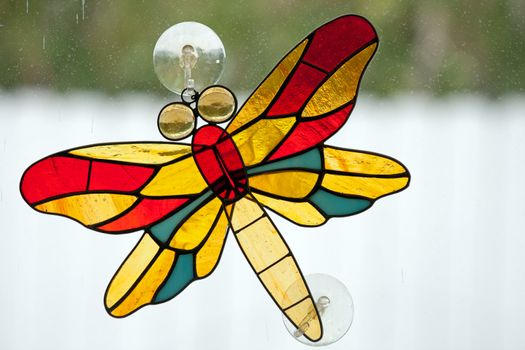 leaded glass dragonfly sticking to window with back light