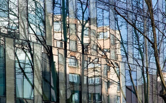 blurred reflections of trees in a glass building