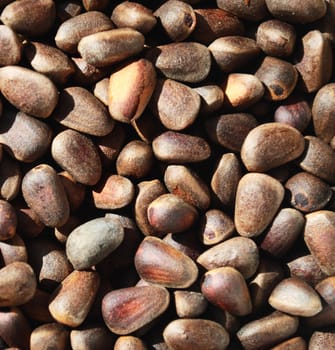 Pine nuts background, brown natural texture
