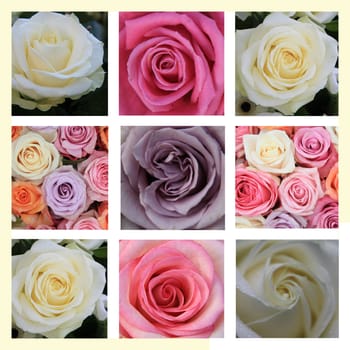 XL-collage made from 9 different high resolution rose images