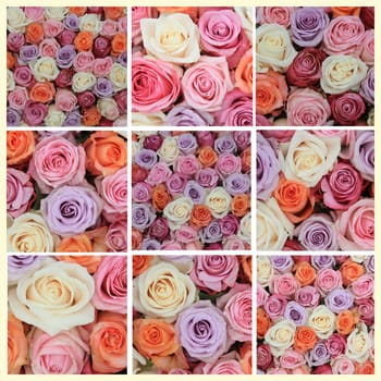 XL-collage made from 9 different pastel rose photos