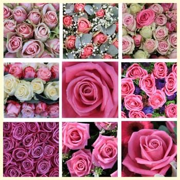 XL-collage made from 9 different high resolution pink rose images