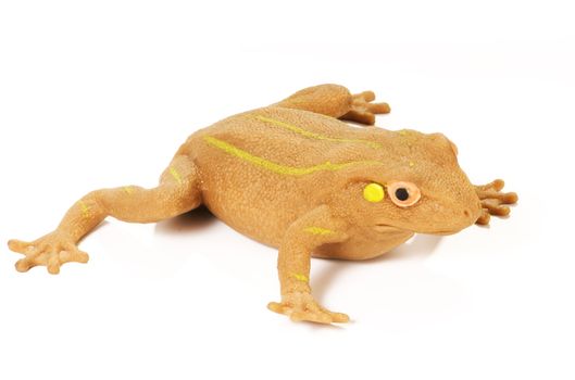 isolated yellow frog with striped on white background