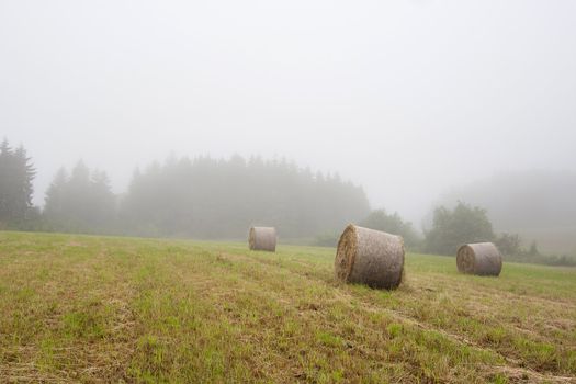 Shot of the landscape - mowing meadow in the fog
