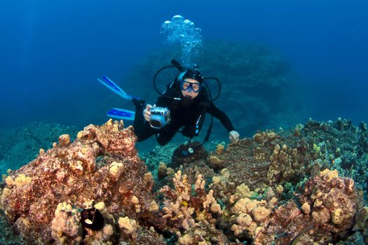 Scuba Diver taking pictures on a Hawaiian Reef