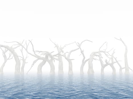 Dead trees in surroundings water as a result of flood on a foggy background