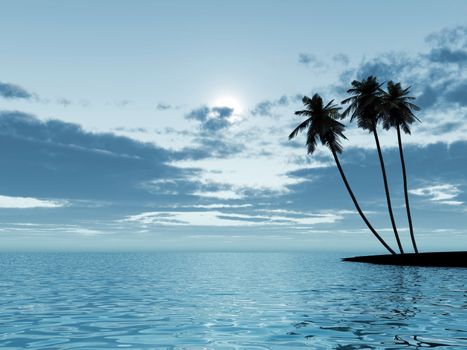 Three palm trees in a moonlight at night on a background of the cloudy sky