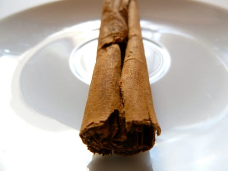 cinnamon stick on a white plate