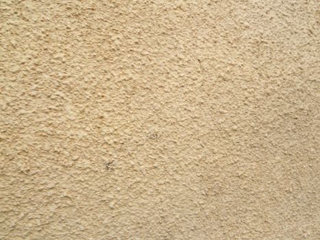 closeup on a cream colored textured surface