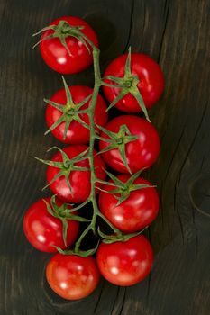 Fresh branch of tomatoes on wooden background