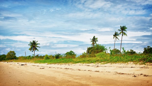 sand beach with palms, Andaman Sea, Thailand