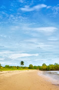 sand beach with palms, Andaman Sea, Thailand