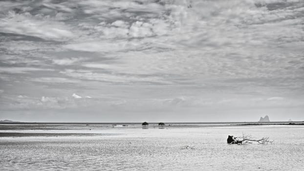 Koh Libong shelf at ebb, Andaman Sea, Thailand