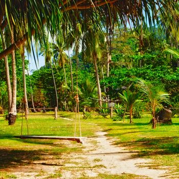 swing under tree in jungle resort, Krabi, Thailand